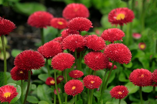 Plaque pvc : qualité et personnalisation à votre service